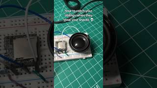 Your siblings will not like this  #electronics #arduino #engineering