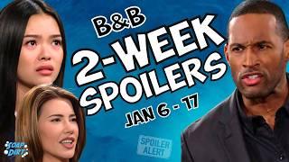 Bold and the Beautiful 2-Week Spoilers Jan 6-17: Luna Eyes Will & Steffy Sabotages Carter