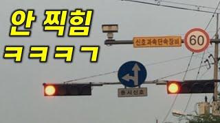 신호위반 이 영상 보시면 이제 안걸립니다 (낚시X)