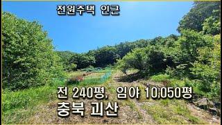 충북임야  괴산 싼 임야, 전 / 전 240평  임야 1만평  물 흐르는 구거 접하고 농막, 전원주택 인근