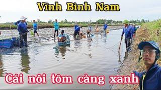 THU Hoạch Tôm Càng Xanh Trúng lớn vùng Vĩnh Bình nam vĩnh thuận kien giang.nguyễntoán.