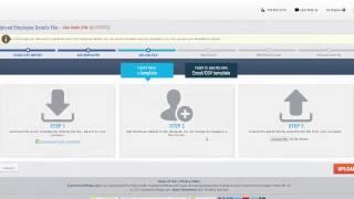Bulk Upload W-2 Forms - ExpressTaxFilings