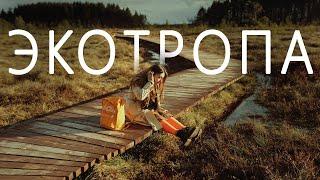 Экотропа. Сестрорецкое болото