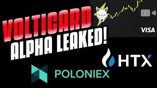 VOLT-INU VOLTICARD ALPHA LEAKED!