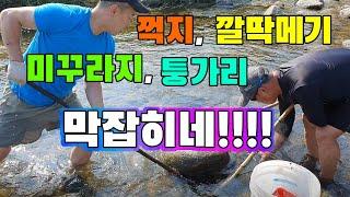 여름에 족대 하나면 굶어죽진 않습니다./ freshwater fish foot-fishing