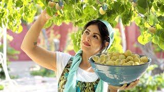 #28 Country Woman Harvesting Apricot And Making Persian Apricot JamDaily Routine Life IRAN Village