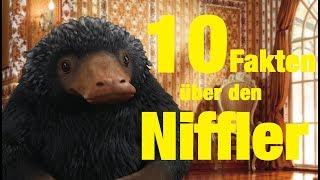 10 FAKTEN über den NIFFLER