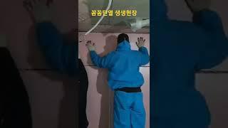 꼼꼼단열 생생현장(feat.프로디자인 하프로)