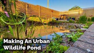 Making An Urban Wildlife Pond - Timelapse 4K