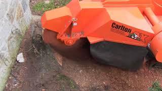 Hurricane TRX Series Track-Mounted Stump Cutters | J.P. Carlton