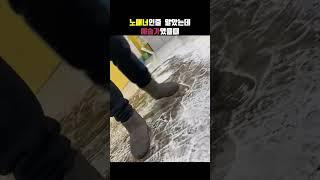 노매너인줄 알았는데 예술가였을때