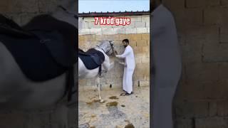 Those ne 7 gaya !! #shorts #ytshorts #comedy ##video #youtubeshorts #Abhishek-ai-j2