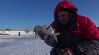 Рыбалка. Казахстан. Река Солянка. Река Барбастау. Fishing. Kazakhstan.