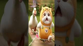  The Cutest Cat Adventures – Pure Joy! 