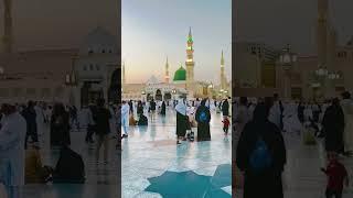 makka madina Allah|   #shorts #allah #makka #foryou #live  | MT4 Network