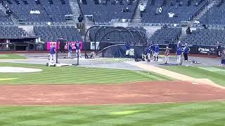 Vladimir Guerrero jr hitting bombs during batting practice at Yankee stadium (2022)