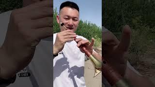唢呐初学基础指法筒音做5 唢呐 乐器 指法