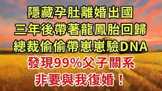 《太太，帶龍鳳胎回國了！》續集04，隱藏孕肚離婚出國，三年後帶著龍鳳胎回歸，總裁偷偷帶崽崽驗DNA，發現99%父子關系，非要與我復婚！