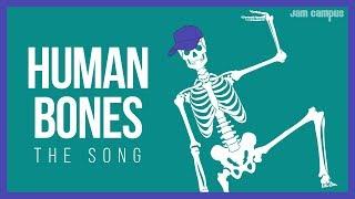 THE HUMAN BONES SONG | Science Music Video