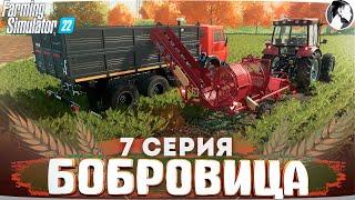 FARMING SUMULATOR 22: БОБРОВИЦА #7 ● Уборочная свеклы