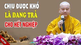 Chịu Đựng Được Khổ Là Trả Cho Hết Nghiệp - Thầy Thích Pháp Hòa