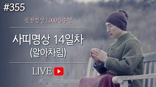  [실시간-명상방송] 사띠명상 알아차림수면명상 14일차▶귓전명상수련(355/399일) KoreaMedit