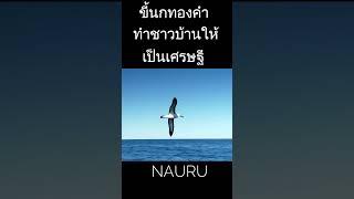 ขี้นกทองคําขาวทําคนให้เป็นเศรษฐี Platinum bird dung makes people rich.