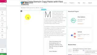 Cross Domain Copy Paste using Elementor- Flexi Addons