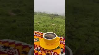 Beautiful nature Oman Salalah #oman #muscat #shorts #ytshorts #shortfeed #viralnow #travel