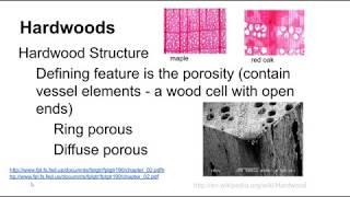 3421 Wood Products Technology - Lecture