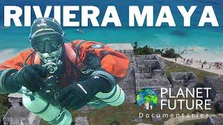 Riviera Maya and the Climate Crisis Documentary - The Planet Future Foundation