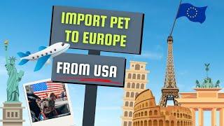 How to Import Dog or Cat to Europe from the USA! COMPLETE Step-by-Step Guide