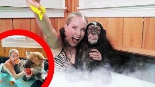 CHIMP HALLOWEEN MILK BATH!?