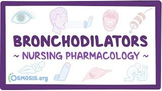 Bronchodilators: Nursing Pharmacology