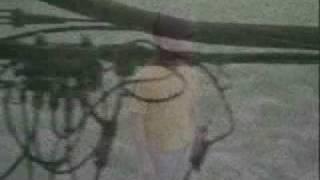 funki porcini - back home
