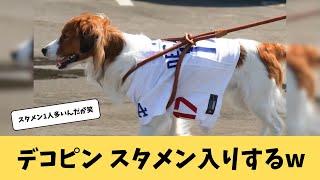 【大谷翔平】デコピン、スタメン入りするw【ドジャース】