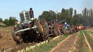 Baura 2024 (sabato PM) - Aratura d'epoca e Landini testacalda | Vintage hot bulb tractors plowing