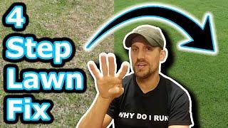 Beginner Lawn Care Tips // How To Improve Your Lawn in 4 Easy Steps // Lawn Motivation