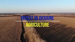 Ukrainian agricultural land