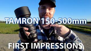 Tamron 150-500mm F5-6.7 - First Impressions