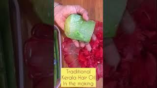 Traditional Kerala Hair oil Recipe #shortsvideo #youtubeshorts #hairoil