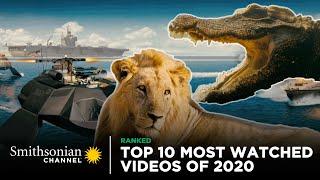 Top 10 Most Watched Videos Of 2020  Smithsonian Channel