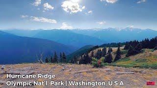 Hurricane Ridge | Olympic National Park || Washington, U.S.A.