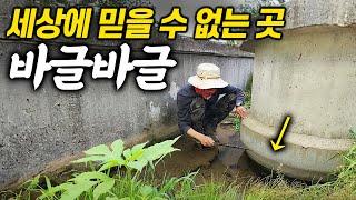 믿을 수 없는 역대급 구멍치기낚시. 구멍 안에 바글바글한 대물들