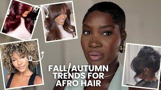 Fall /Autumn Winter Trends For Afro Hair