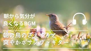 Natural Sonic「朝の鳥のさえずりとさわやかボサノヴァ」 - 朝から気分が良くなるBGM -