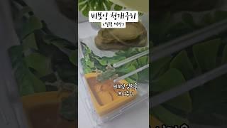 비보잉 청개구리의 밀웜 먹방
