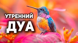 УТРЕННИЙ ДУА أذكار الصباح ЗАЩИТИТЬ ВАС ВЕСЬ ДЕНЬ | СЛУШАЙТЕ КАЖДОЕ УТРО!