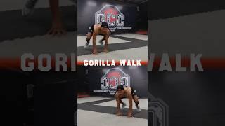 Animal flow exercises for full-body strength and mobility #fitness #workout #shorts