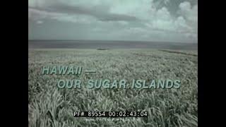 1960 HAWAII HISTORY EDUCATIONAL FILM   SUGAR INDUSTRY & AGRICULTURE  89554